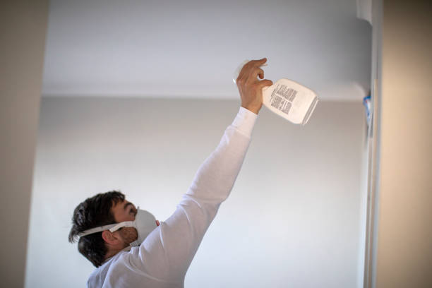 Best Insurance-Related Mold Remediation in Syracuse, NE