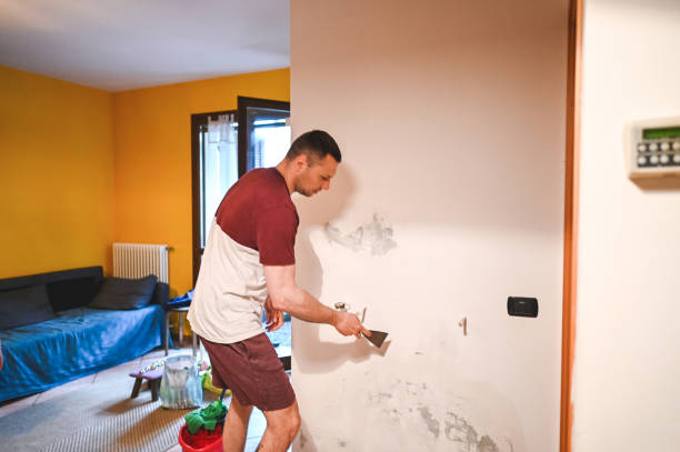 Best DIY Mold Remediation Support Services in Syracuse, NE