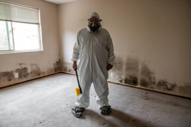 Syracuse, NE Mold Remediation Company